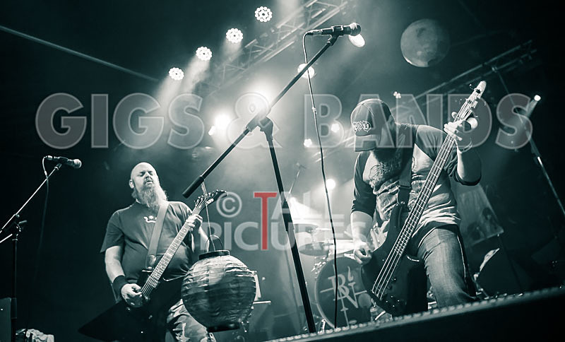 Byzanthian Neckbeard-202 - BYZANTHIAN NECKBEARD