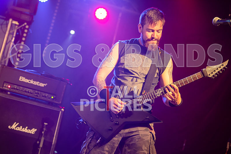 Demise of Sanity-175 - DEMISE OF SANITY