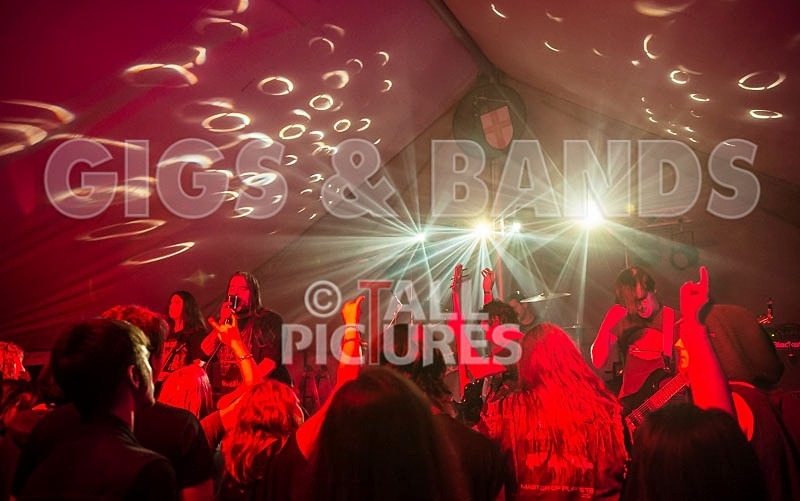 Stone Em All-94 - STONE EM ALL