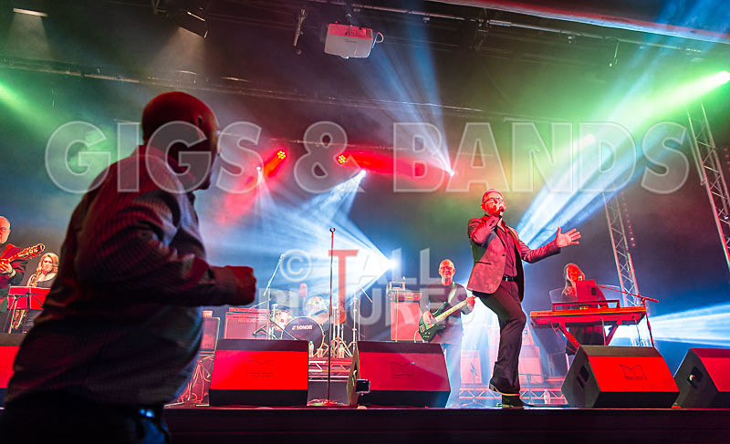 Harry Dean Junior and the New Breed-57 - HARRY DEAN JUNIOR AND THE NEW BREED