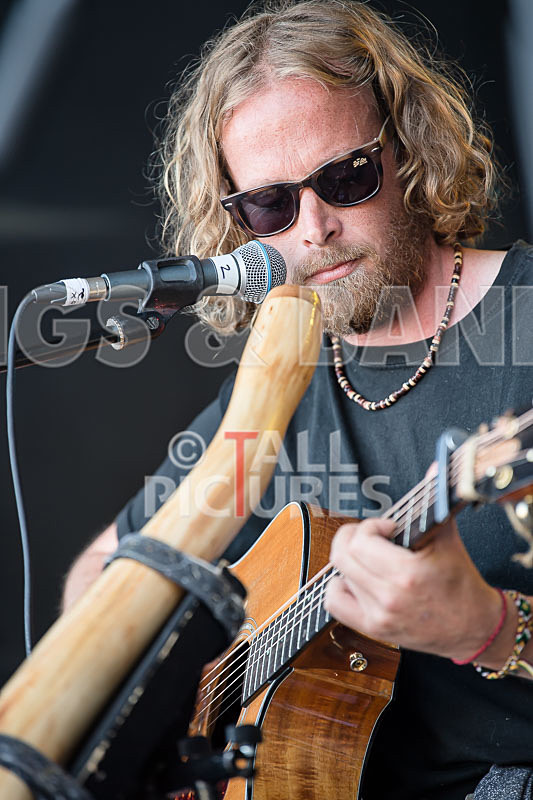 Vale Earth Fair 2017_SCENE-64 - VALE EARTH FAIR 2017_THE SCENE