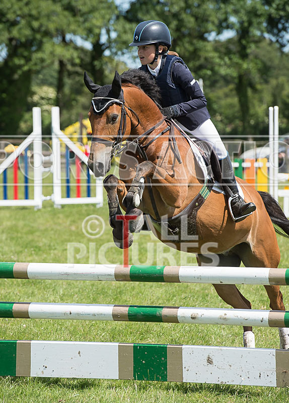 Showjumping_Derby Show_2014-7 - BRITISH SHOWJUMPING GUERNSEY DERBY SHOW 2014