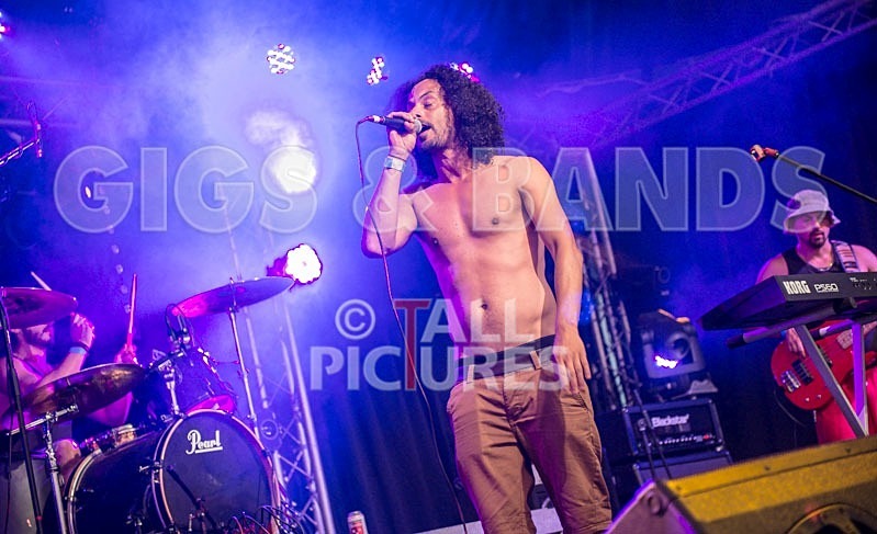 Chaos 2013_Harlequin Knights-5 - HARLEQUIN KNIGHTS