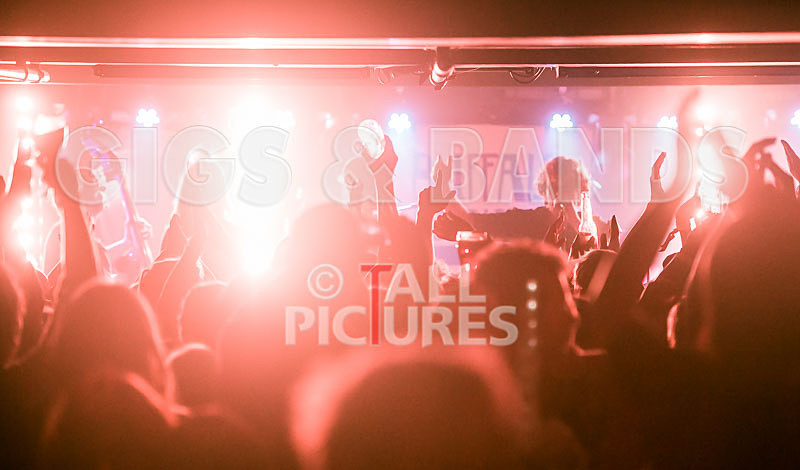 Buffalo Huddleston-114 - BUFFALO HUDDLESTON