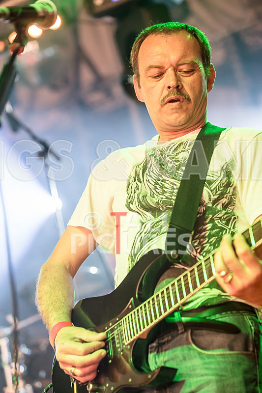 Underdog-85 - UNDERDOG