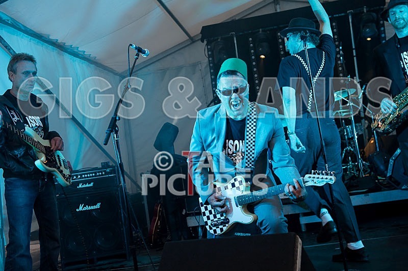 Sons of the Desert_Lib Day_2012-25 - SONS OF THE DESERT