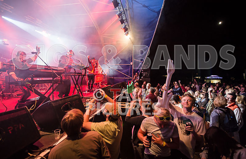 Fade to Grey-245 - FADE TO GREY