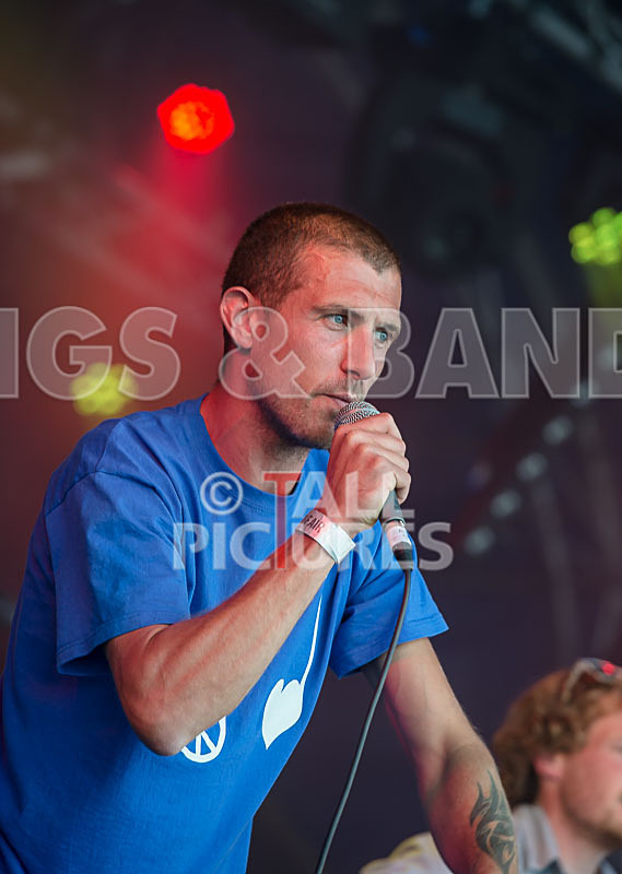 Buffalo Huddleston-170 - BUFFALO HUDDLESTON