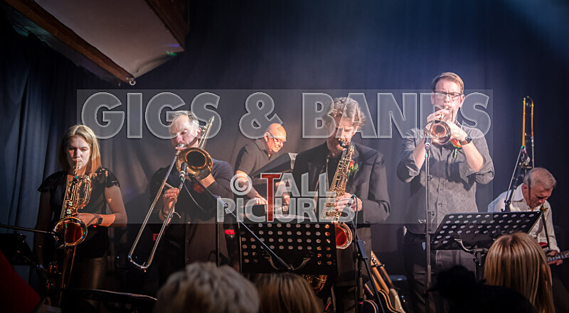 King Rat  the Soul Cats-508 - KING RAT & THE SOUL CATS