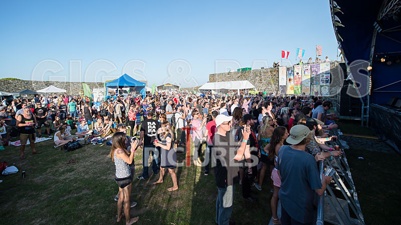 Vale Earth Fair 2017_SCENE-159 - VALE EARTH FAIR 2017_THE SCENE