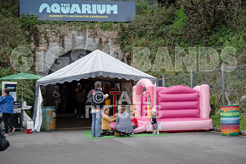 Aquarium Pop-up Gig 2019-1 - AQUARIUM POP-UP GIG 2019