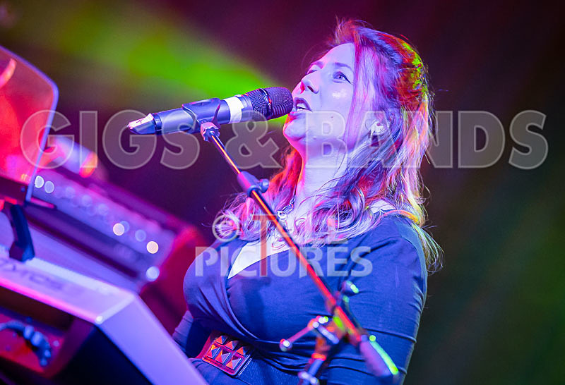 Harry Dean Junior and the New Breed-55 - HARRY DEAN JUNIOR AND THE NEW BREED