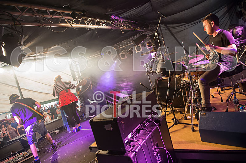 Static Alice-384 - STATIC ALICE