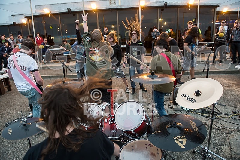 Stone Em All-137 - STONE EM ALL