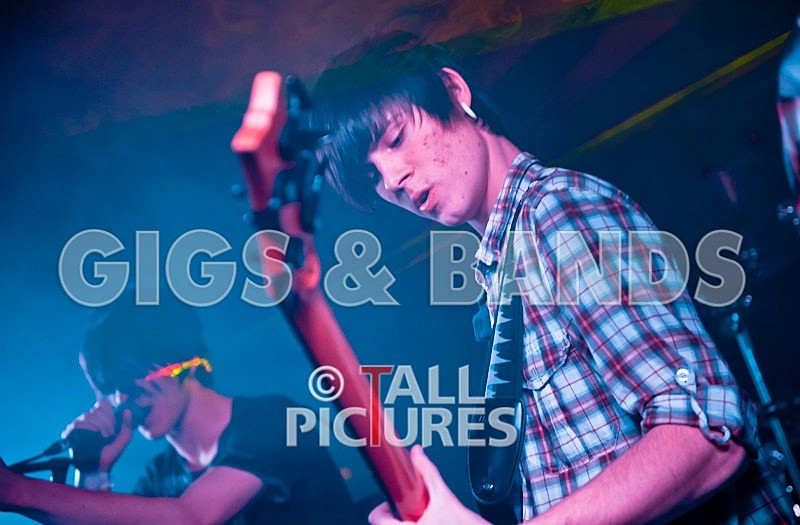 Feedback-74 - FEEDBACK at RoA-8