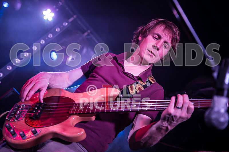 Buffallo Huddleston-139 - BUFFALO HUDDLESTON