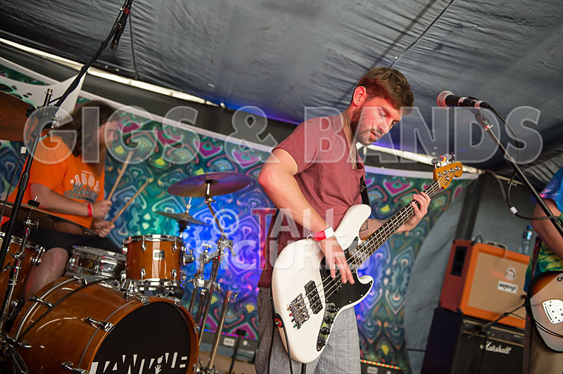 Honest Crooks-34 - HONEST CROOKS