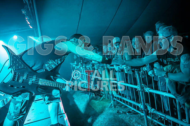 Maiden Guernsey-247 - MAIDEN GUERNSEY