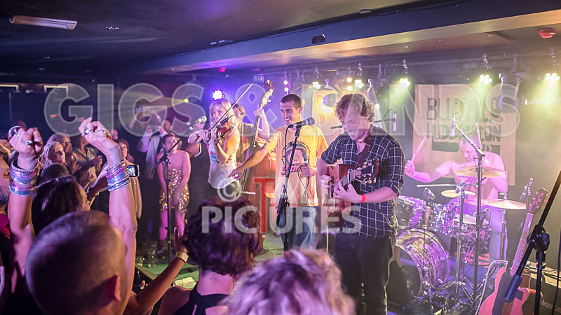 Buffalo Huddleston-135 - BUFFALO HUDDLESTON