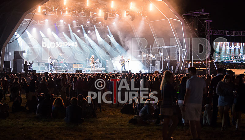 Blossoms-9 - BLOSSOMS