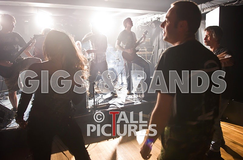 Brutus Stonefist-261 - BRUTUS STONEFIST