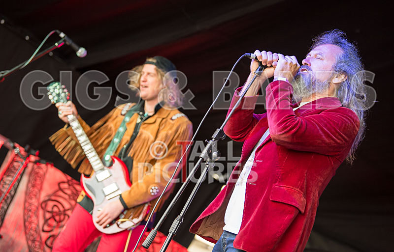 Rat Salad-11 - RAT SALAD