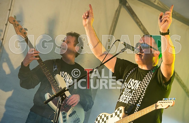 Sons of the Desert_Lib Day_2012-22 - SONS OF THE DESERT