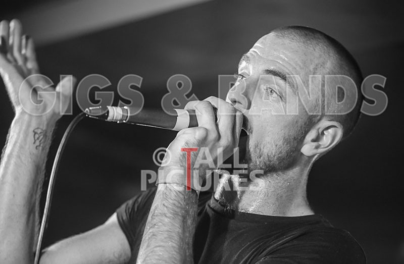 Heymoonshaker-77 - HEYMOONSHAKER