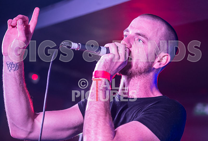 Heymoonshaker-8 - HEYMOONSHAKER