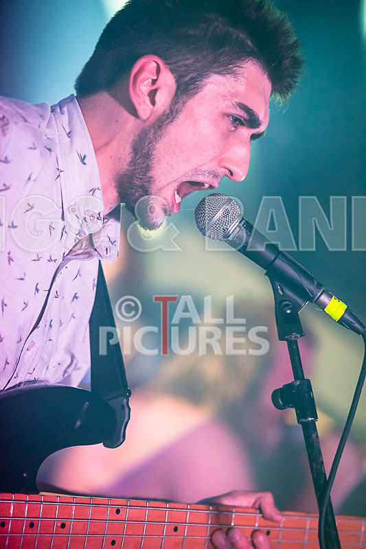 Joe Young & the Bandits-16 - JOE YOUNG & THE BANDITS