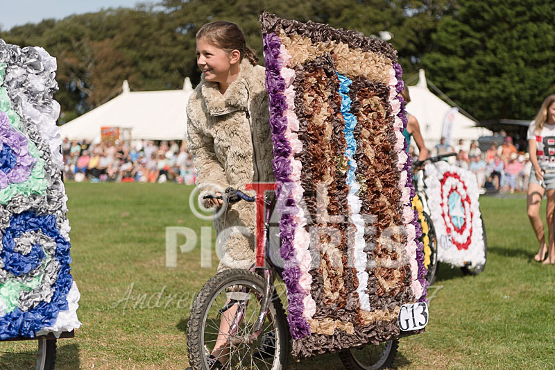 North Show 2017-68 - NORTH SHOW 2017