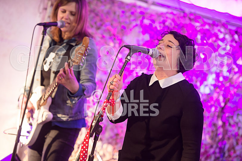 Swallows-8 - SWALLOWS