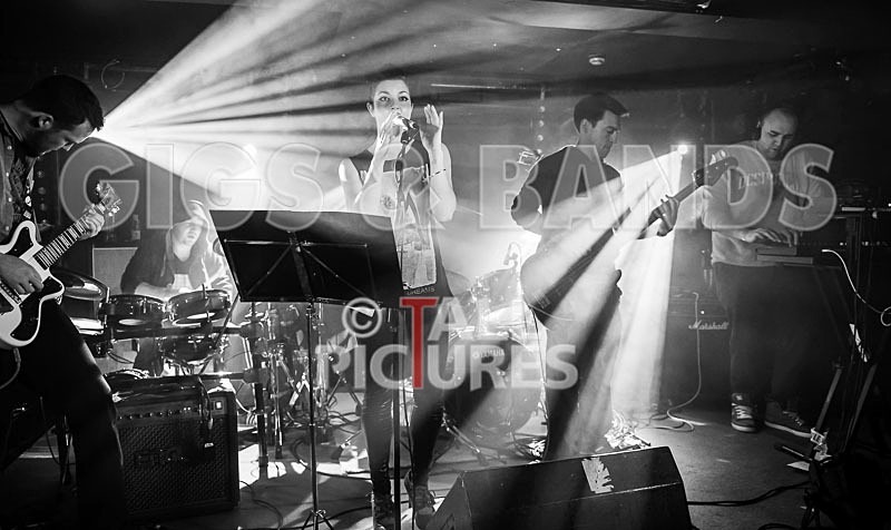 Bright_Lights-31 - BRIGHT_LIGHTS
