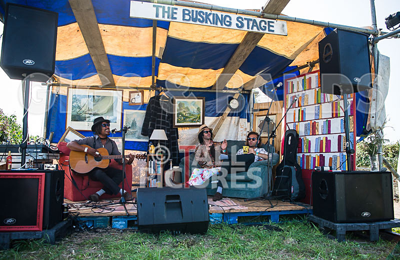 Vale Earth Fair 2017_SCENE-48 - VALE EARTH FAIR 2017_THE SCENE