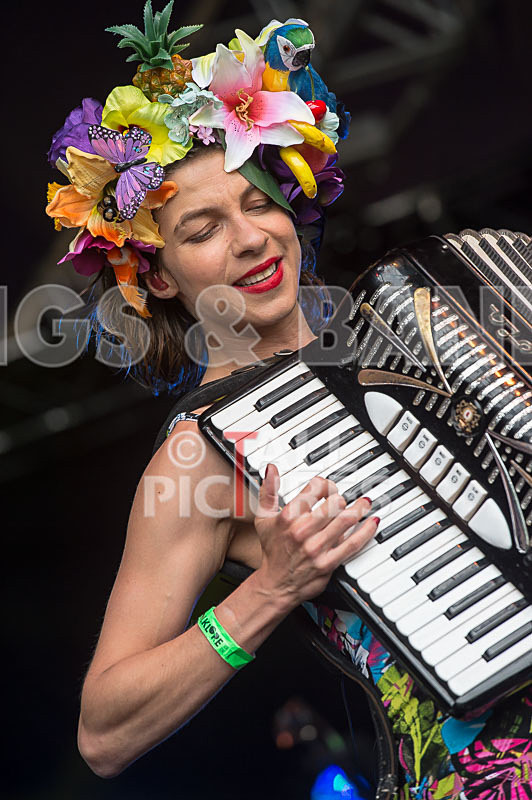 Molotov Jukebox-52 - MOLOTOV JUKEBOX