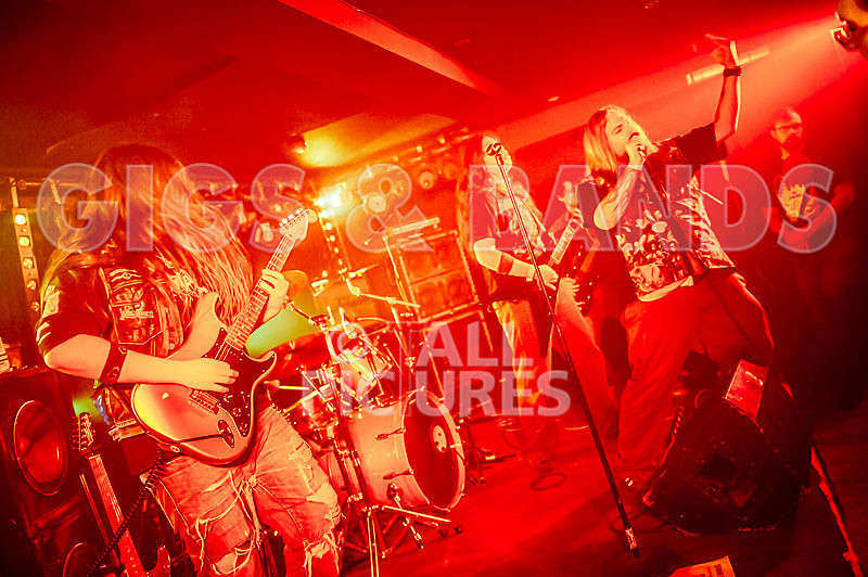 Stone Em All-251 - STONE EM ALL