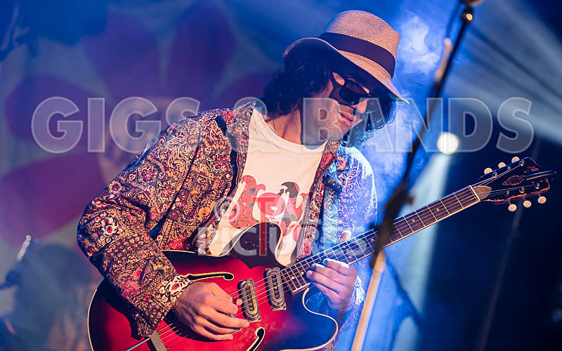 Surfin Birds-33 - SURFIN' BIRDS