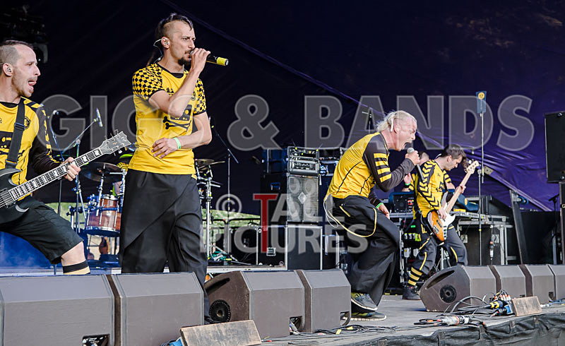 Dubioza Kolektiv-46 - DUBIOZA KOLEKTIV