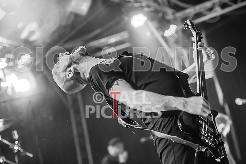 Therapy--22 - THERAPY?