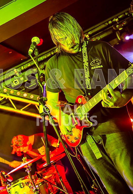 To the Woods-230 - TO THE WOODS