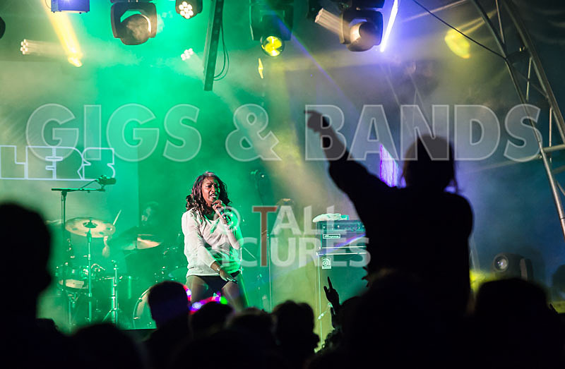 Vale Earth Fair_Atmosphere_2014-50 - VALE EARTH FAIR 2014 - THE ATMOSPHERE