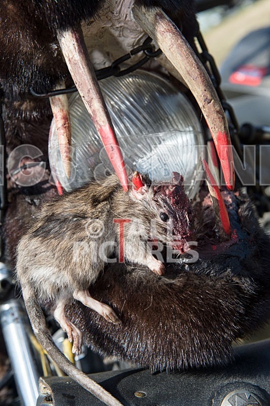 Chaos 2013_The Atmosphere-10 - CHAOS 2013... THE ATMOSPHERE