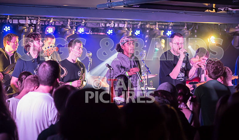 The Mouse Outfit-85 - THE MOUSE OUTFIT