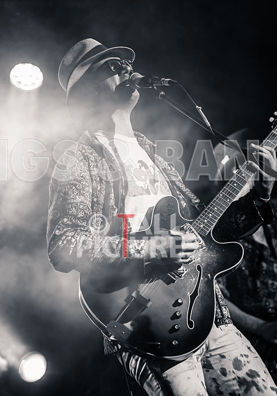 Surfin Birds-13 - SURFIN' BIRDS