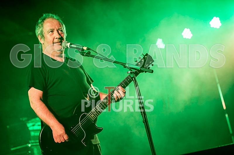 The Buzzcocks-8 - BUZZCOCKS