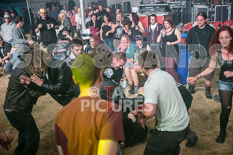 Demise of Sanity-46 - DEMISE OF SANITY