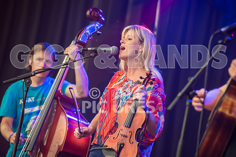 Buffalo Huddleston-78 - BUFFALO HUDDLESTON