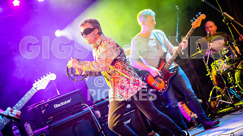 The Sacred Hearts-36 - THE SACRED HEARTS