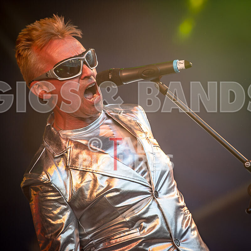 The Sacred Hearts-106 - THE SACRED HEARTS