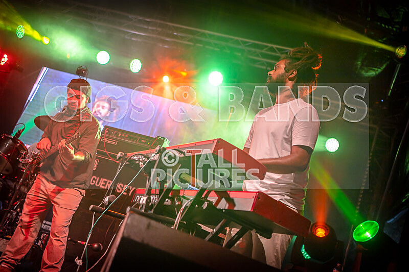 Hollie Cook-27 - HOLLIE COOK